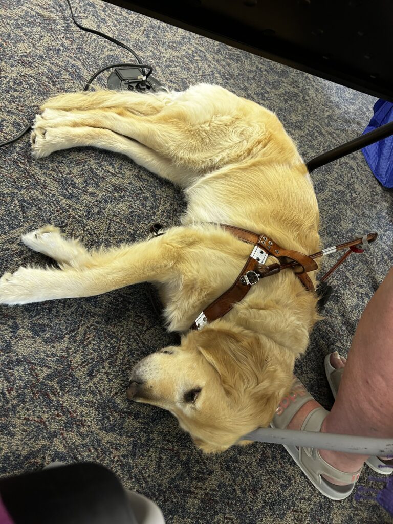 Kristen Dockendorff's Seeing Eye dog, Winnie laying on the floor.