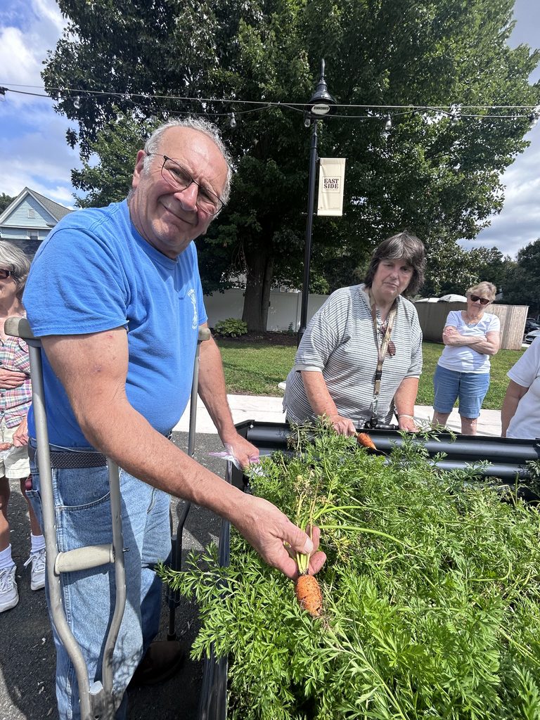 one man pulling up a carrot with other women behind him holding carrots